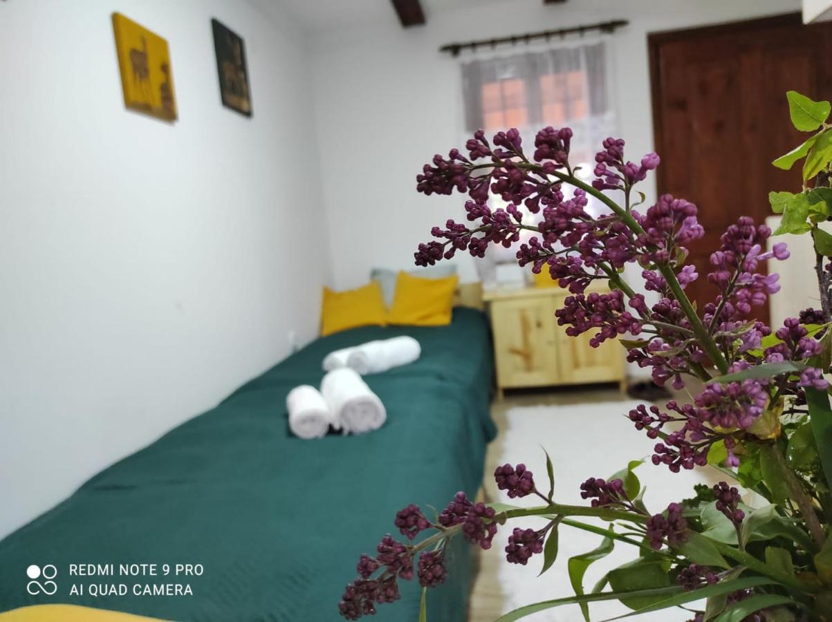 Ferienwohnung Mitrovic Boljevac Exterior foto